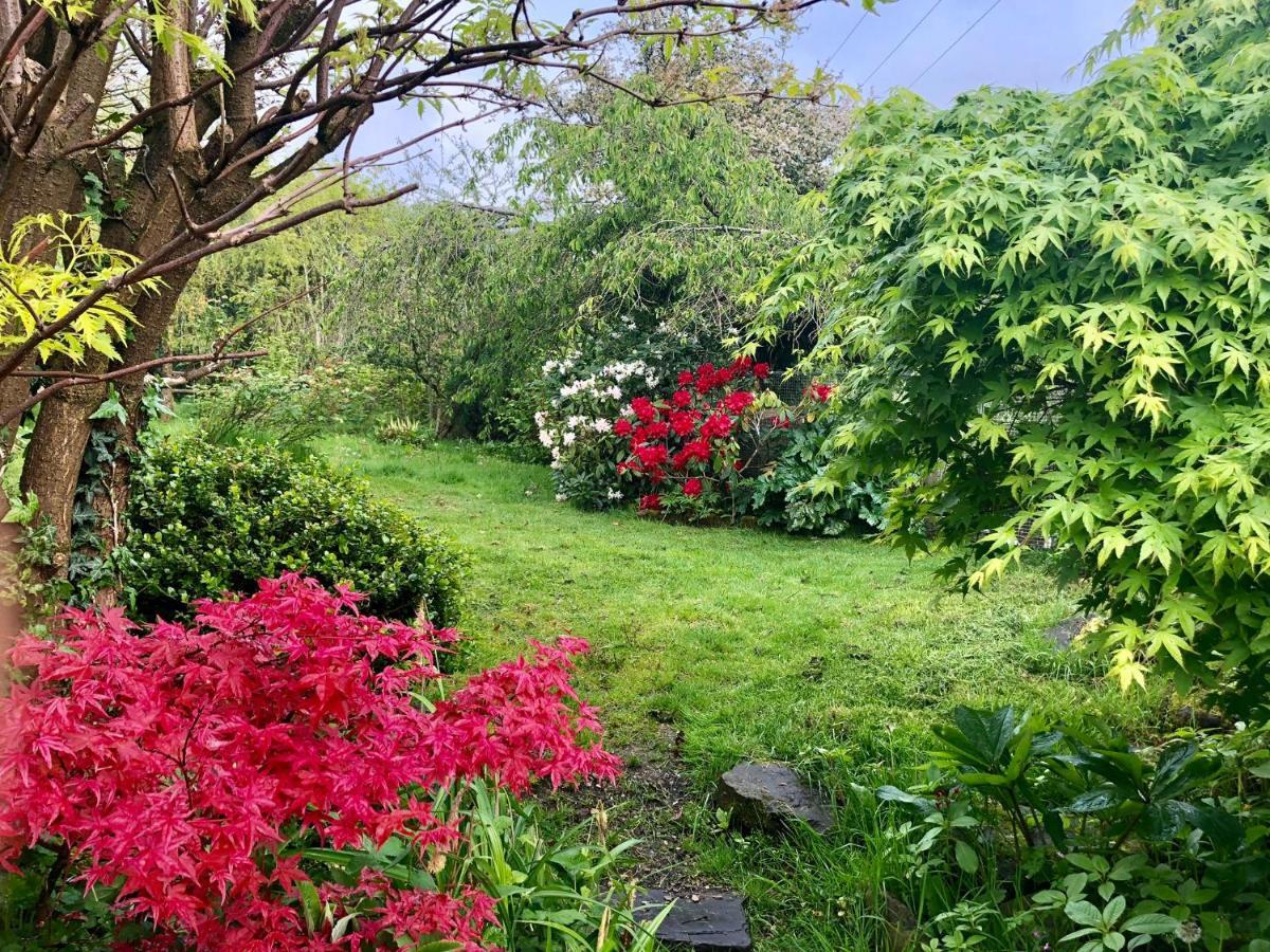 Apartmán Cilffriw Farm Neath Exteriér fotografie